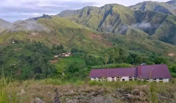 Fizi : Plus de vingt vaches emportées par des groupes armés à Namibebwe/Mibunda