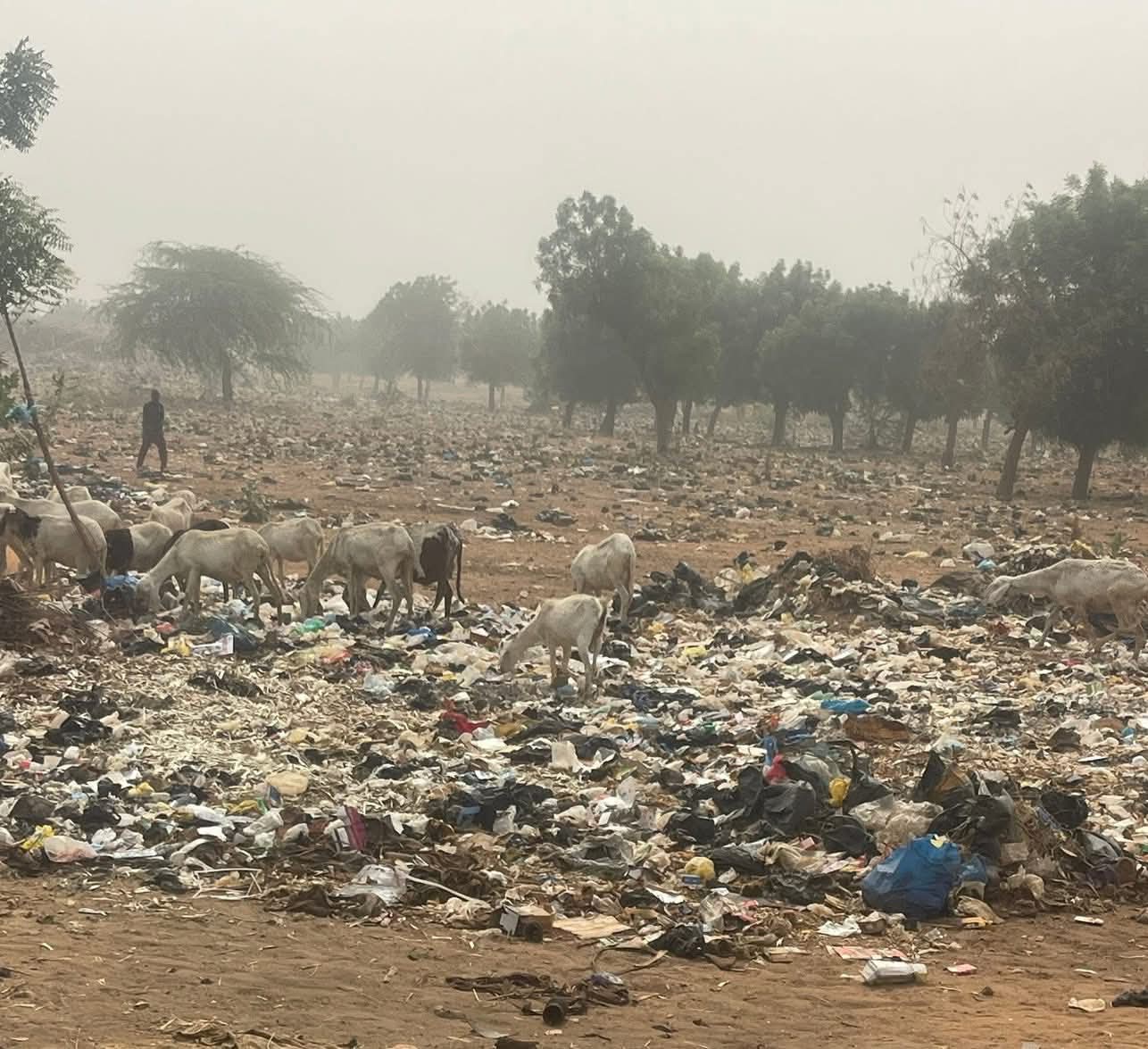 Sud-Kivu : La gestion des déchets à Uvira, un enjeu de santé publique et de gouvernance
