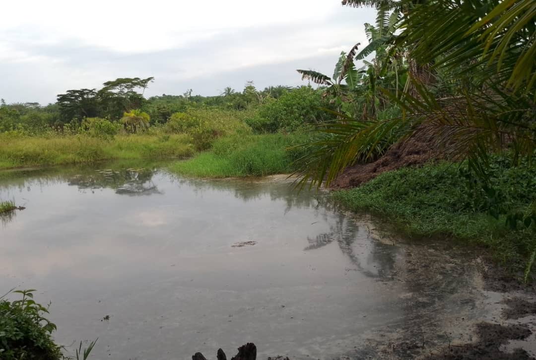 Mwenga : Un jeune meurt noyé dans un étang piscicole à Musumba Mawe .