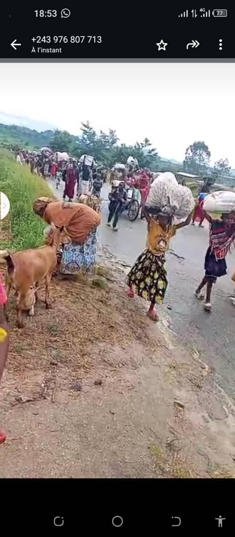 Sud-Kivu : la NSCC alerte sur la situation humanitaire critique des déplacés de Kabimba, Katongo et Kigongo