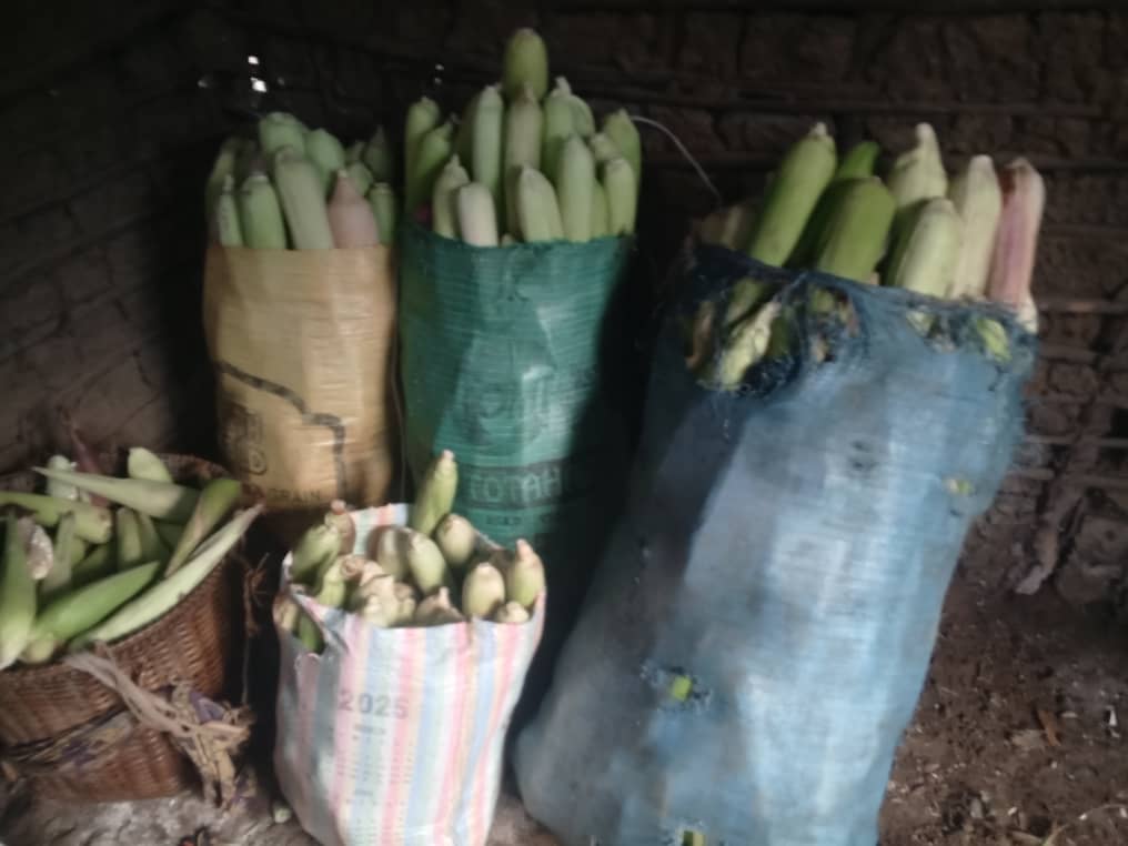 Mwenga : le CEFR salue l’appui de Christian Salumu Mukobelwa en faveur de l’autonomisation des femmes rurales