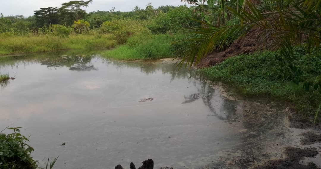 Mwenga : un adolescent retrouvé mort dans un étang piscicole à Bamulinda