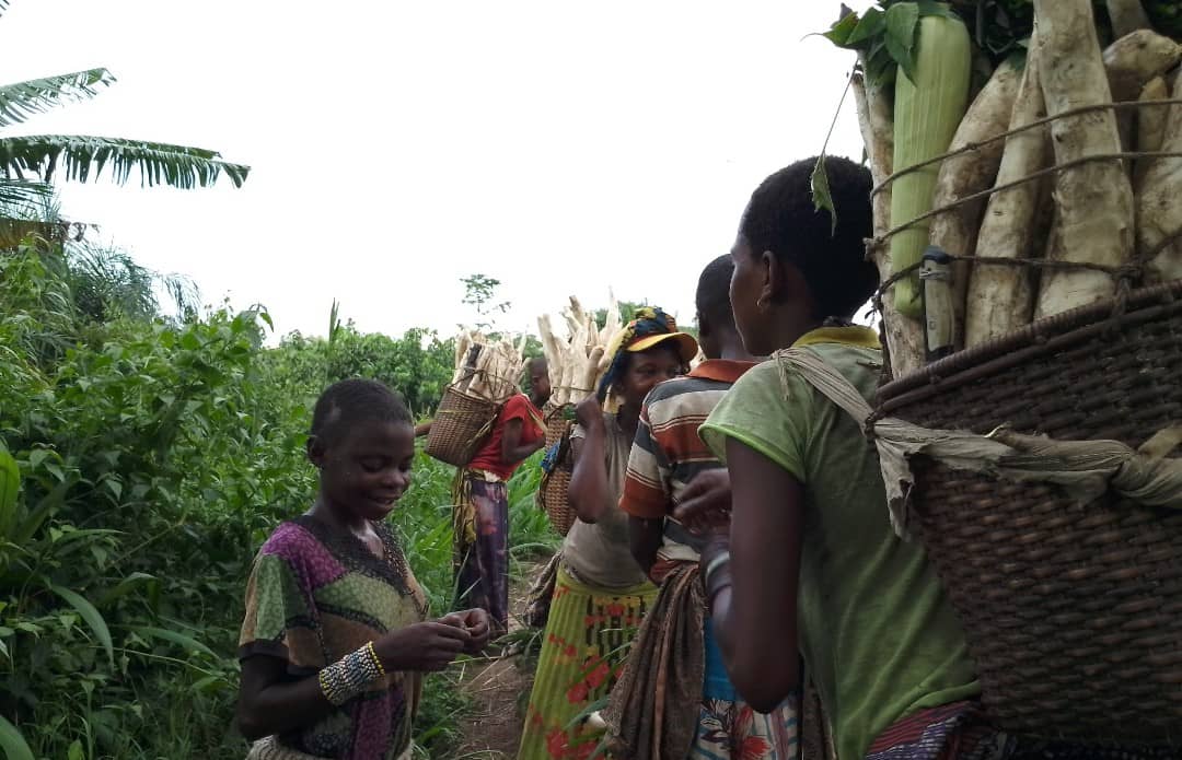 Mwenga : des agriculteurs dénoncent des taxations illégales sur les axes champêtres de Luliba