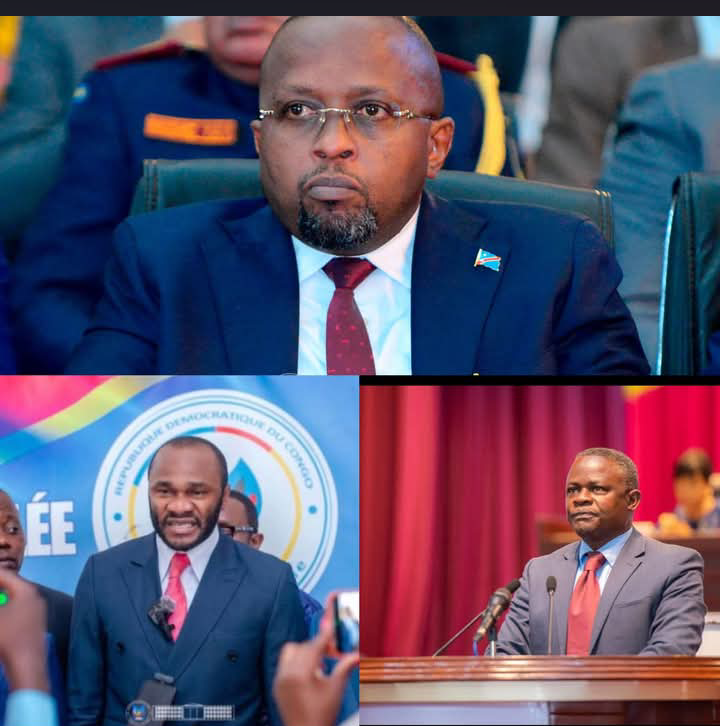 RDC – Assemblée nationale : une manœuvre de procédure fait tomber la motion contre Jacquemin Shabani Lukoo