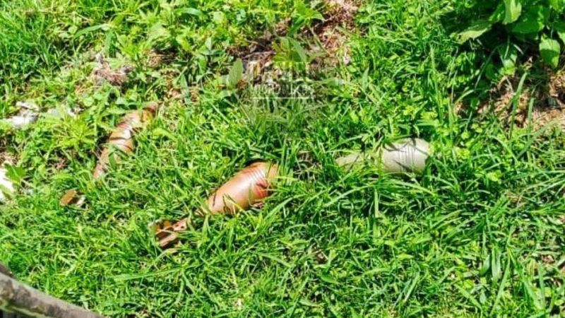 Uvira : les mines et restes explosifs, une menace silencieuse sur le chemin de l’école