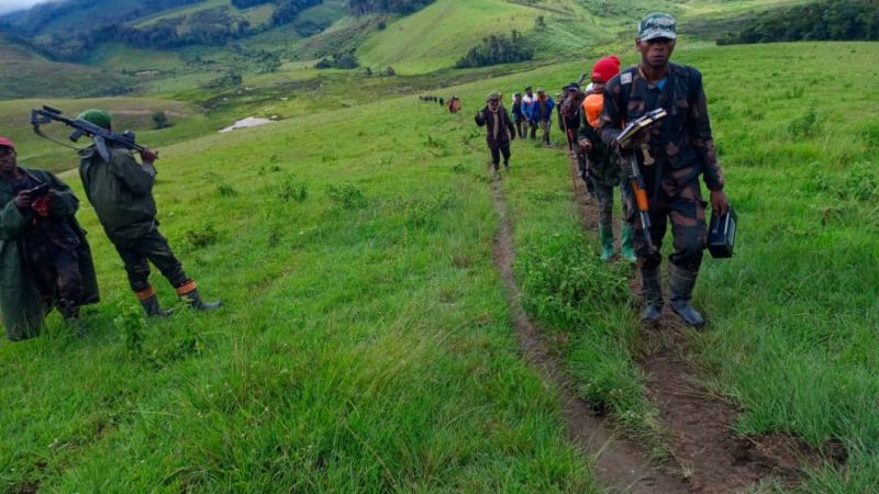Itombwe : deux agriculteurs tués et une femme enlevée par des combattants armés à Kalingi