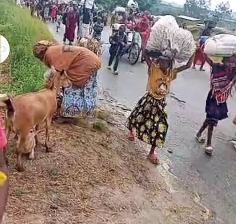 Sud-Kivu : la NSCC alerte sur la situation humanitaire critique des déplacés de Kabimba, Katongo et Kigongo