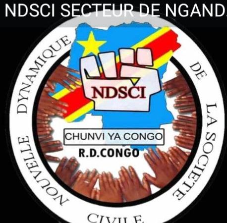 Misisi : la NDSCI salue l’interpellation du présumé meurtrier d’un adolescent et exige une sanction exemplaire