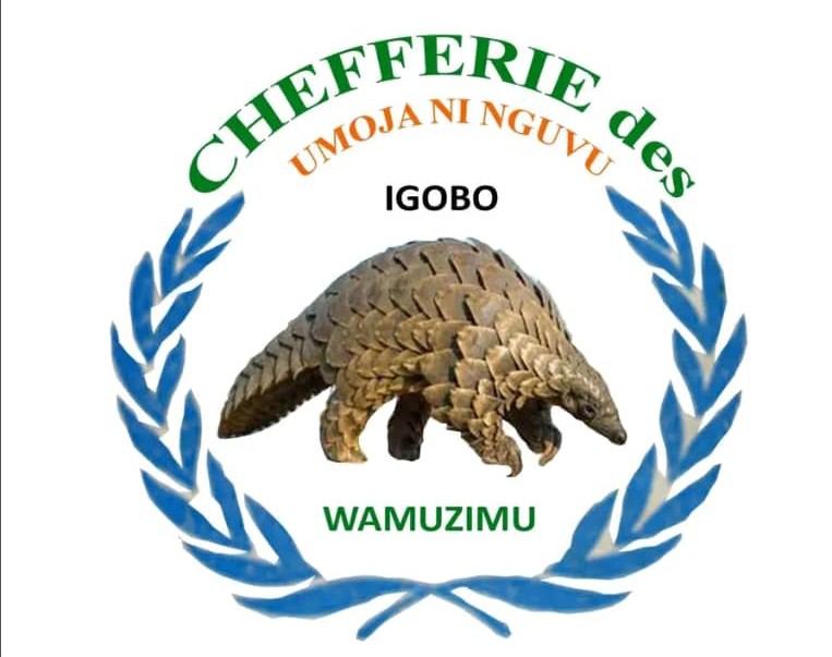 Mwenga : la Société civile alerte sur une situation préoccupante des droits humains dans la chefferie des Wamuzimu
