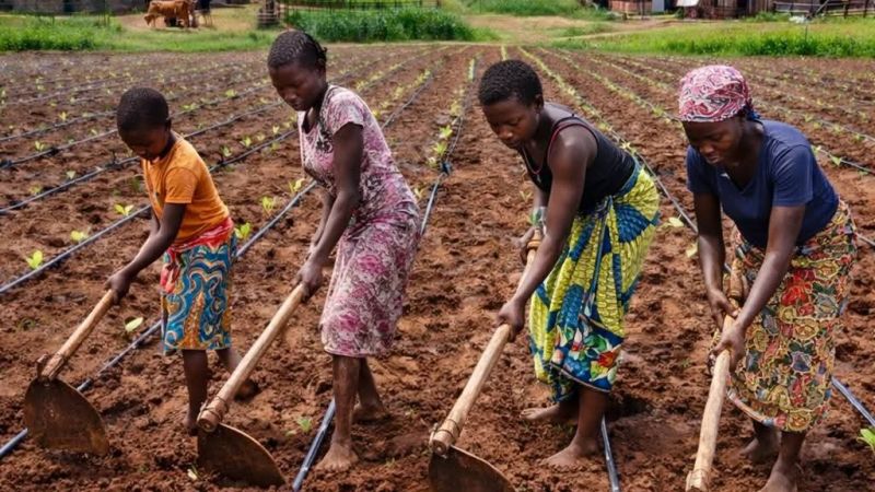 Le besoin d'accès à l'irrigation pour les agriculteurs d'Uvira face aux effets de la saison sèche