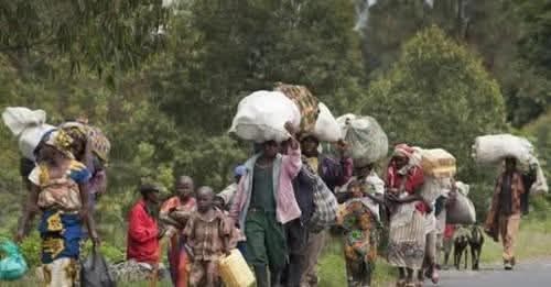 Fizi : plus de 240 000 déplacés, l’administrateur appelle à une assistance humanitaire urgente