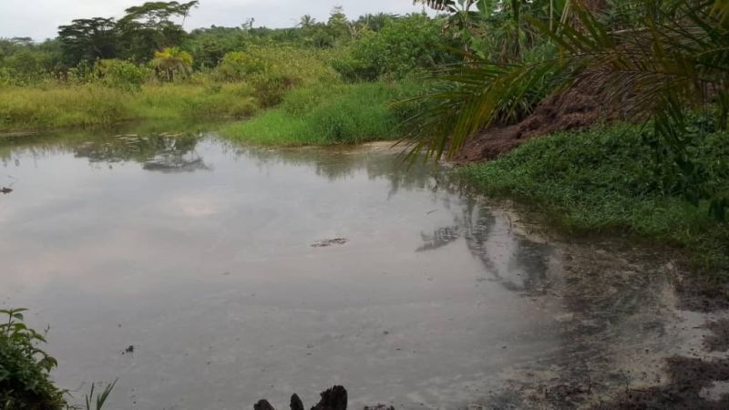 Mwenga : un adolescent retrouvé mort dans un étang piscicole à Bamulinda