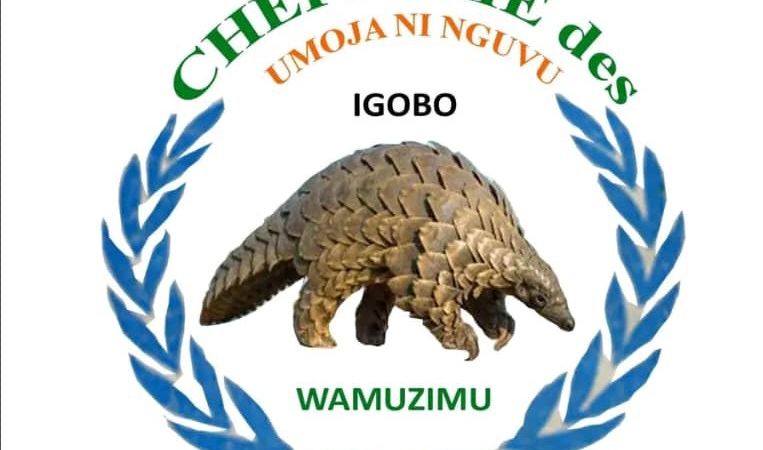 Mwenga : la Société civile alerte sur une situation préoccupante des droits humains dans la chefferie des Wamuzimu