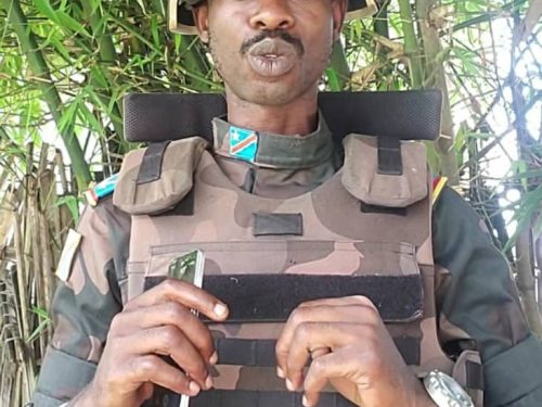 Sud-Kivu : les FARDC dénoncent le pillage de bétail et de biens des civils par les rebelles RDF/AFC-M23 à Kabare
