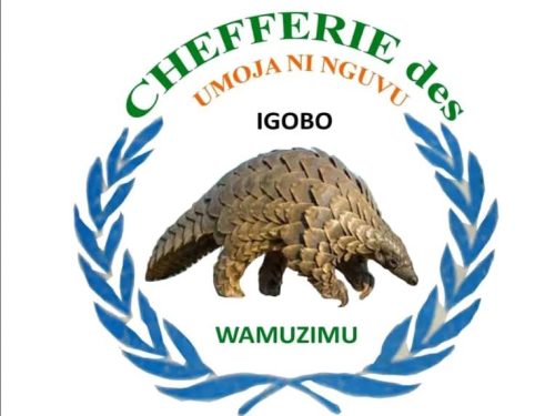 Mwenga : la Société civile alerte sur une situation préoccupante des droits humains dans la chefferie des Wamuzimu