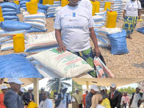 Uvira : 324 personnes bénéficient des kits de réinsertion économique grâce au projet « Tuko Pamoja »