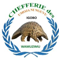Mwenga : la Société civile alerte sur une situation préoccupante des droits humains dans la chefferie des Wamuzimu